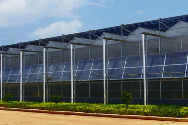 Wenluo multi-span greenhouse