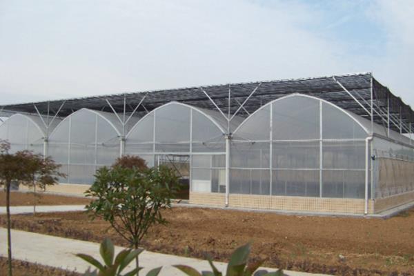 Arched multi-span greenhouse