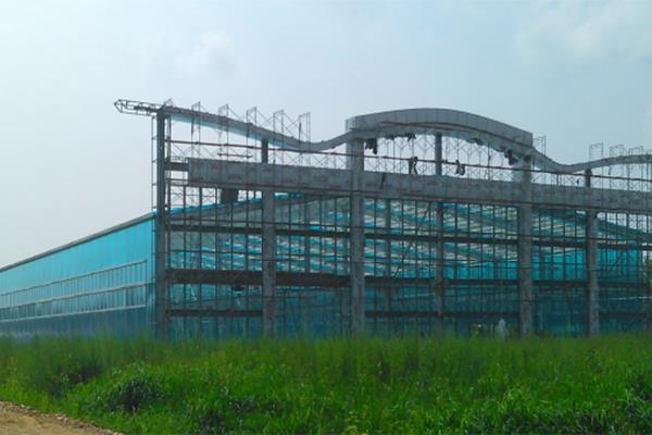 Large span steel structure greenhouse